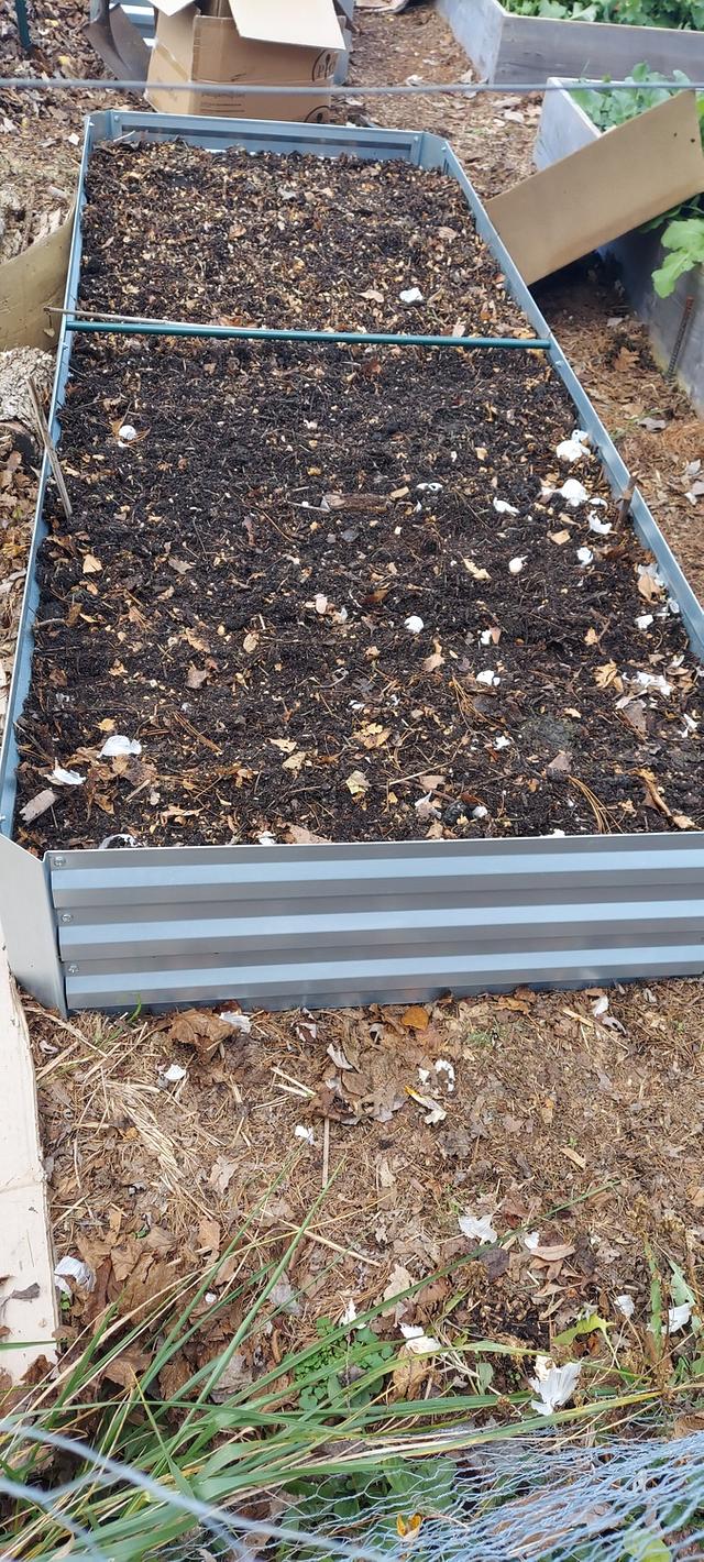 Additional raised beds 