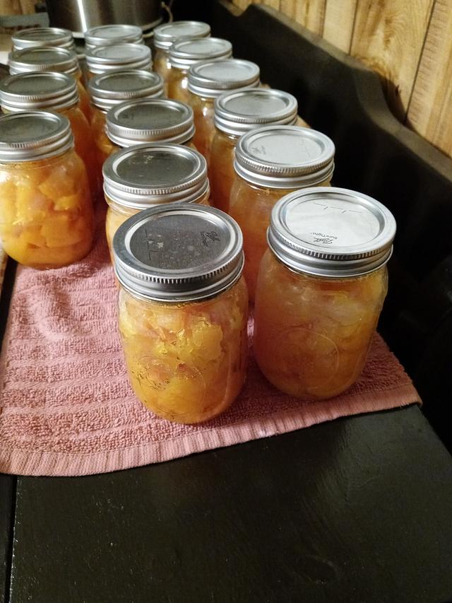 Canning pumpkin