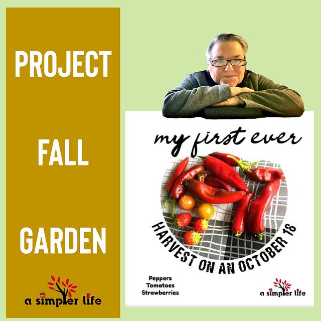Project “Fall Garden” is a huge SUCCESS!! 