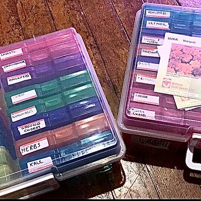 How I organize my seeds - Project by Debbie Pribele