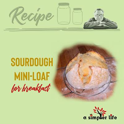 Sourdough Bread - mini loaf  - Project by Debbie Pribele