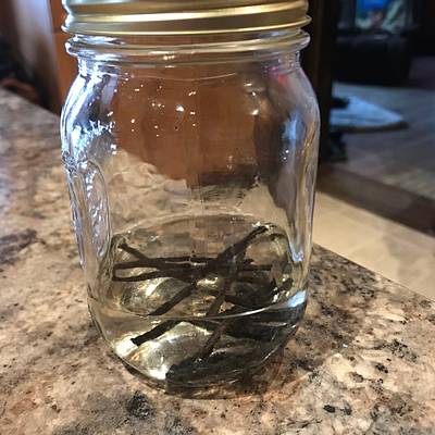Homemade vanilla extract - Project by Leslie 