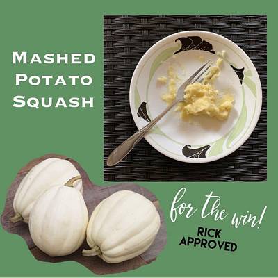 Mashed Potato Squash - Project by Debbie Pribele