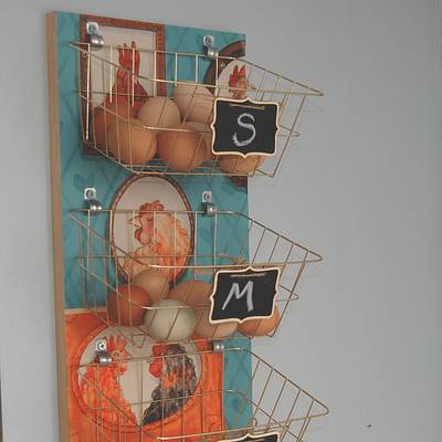 DIY Fun and Functional Egg Storage - Project by Dana