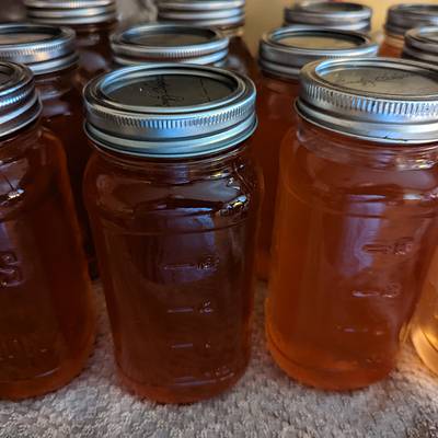 Apple Peel Jelly - Project by Quiverfull