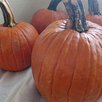 Canning pumpkin