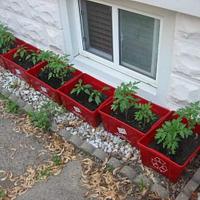 Container Gardens in city from a Farmer Girl at Heart.