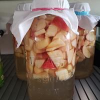 Fermenting Raw Apple Cider Vinegar